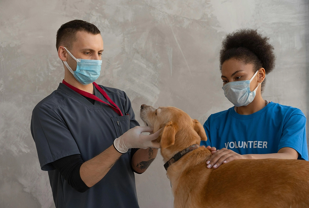 Two people wearing masks and gloves petting a dog.