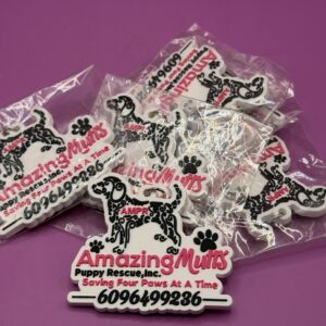 AMPR Keychain